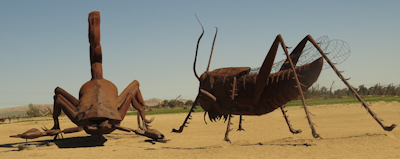 Grasshopper & Scorpion