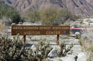 Borrego Springs in Bloom 006